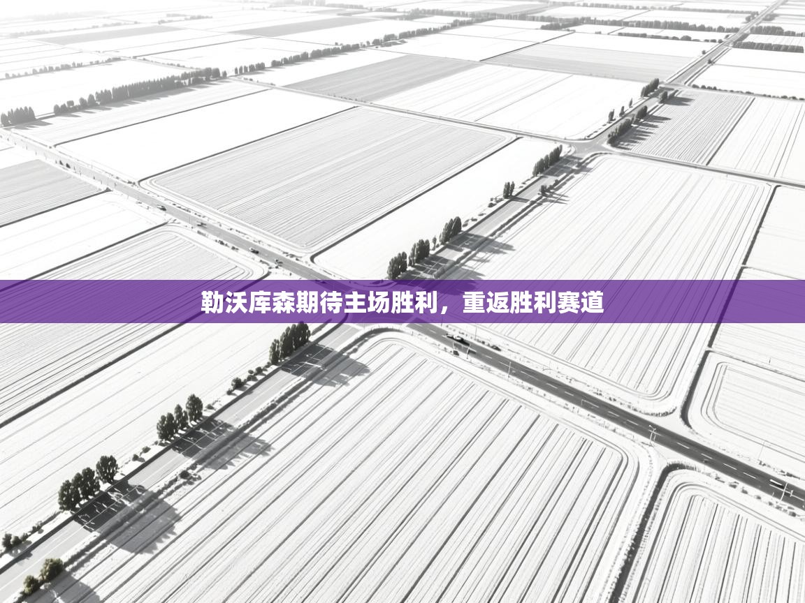 勒沃库森期待主场胜利，重返胜利赛道  第1张